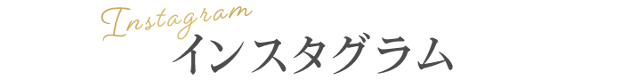 インスタグラム